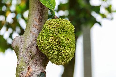 整活软件《流氓软件》上架Steam平台 Demo已上线